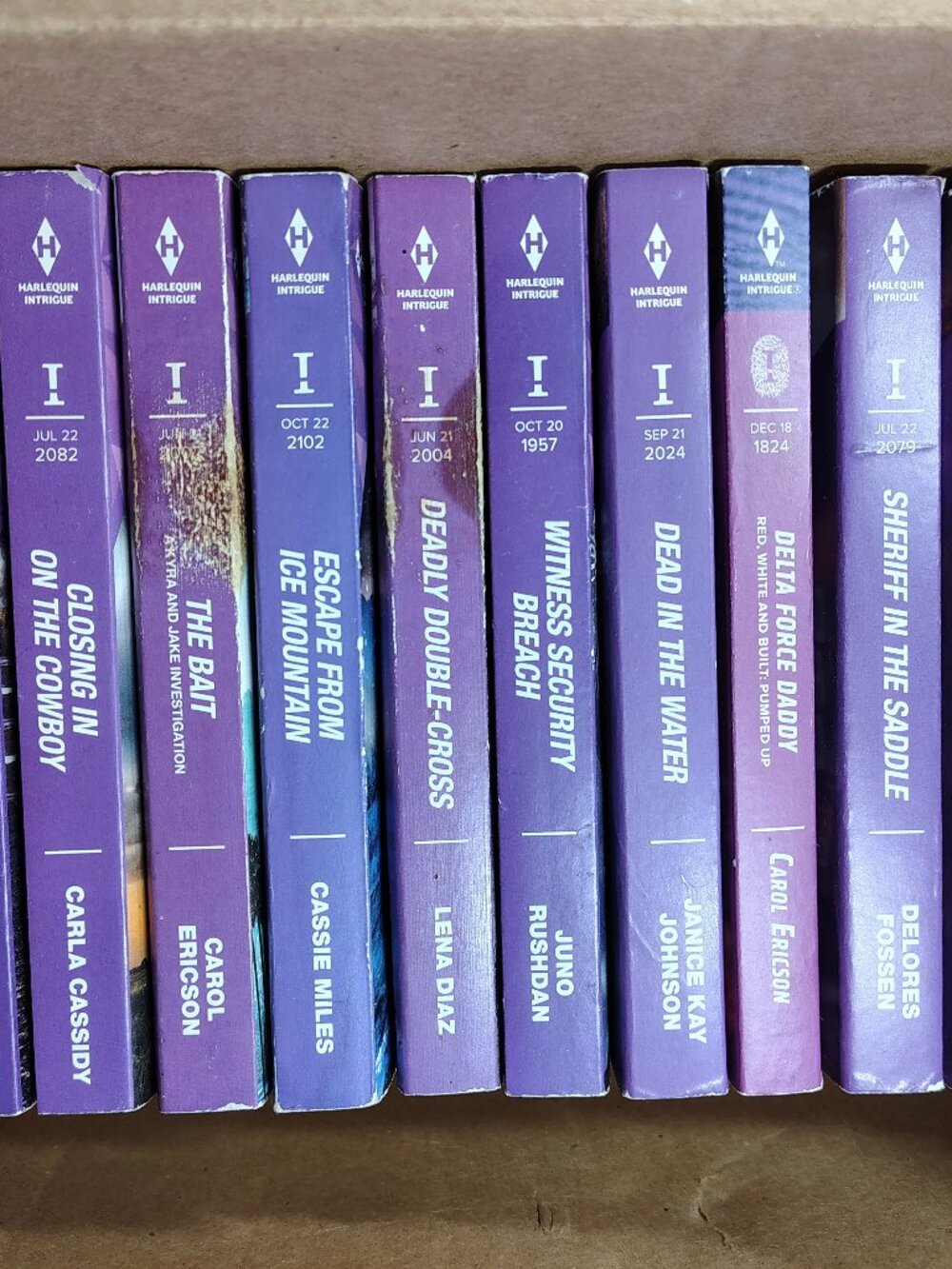 12 Harlequin Intrique Novel Book Bundle Set #1